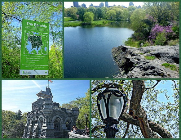 Central Park: The Ramble, Belvedere Castle, Turtle Pond